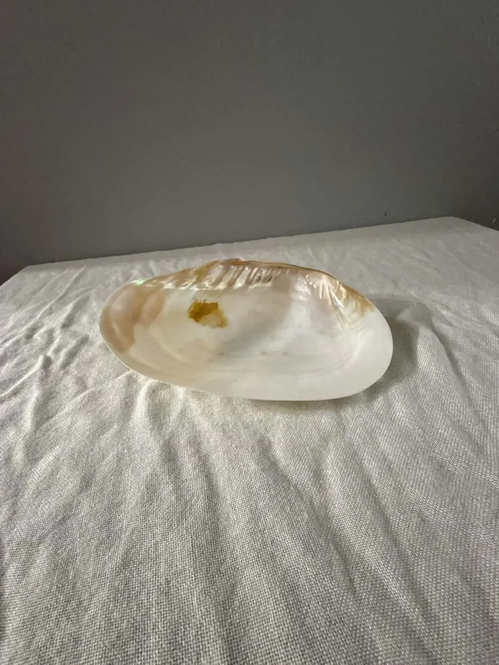 Natural Mother of Pearl Clam Shell Decorative Dish Bowl